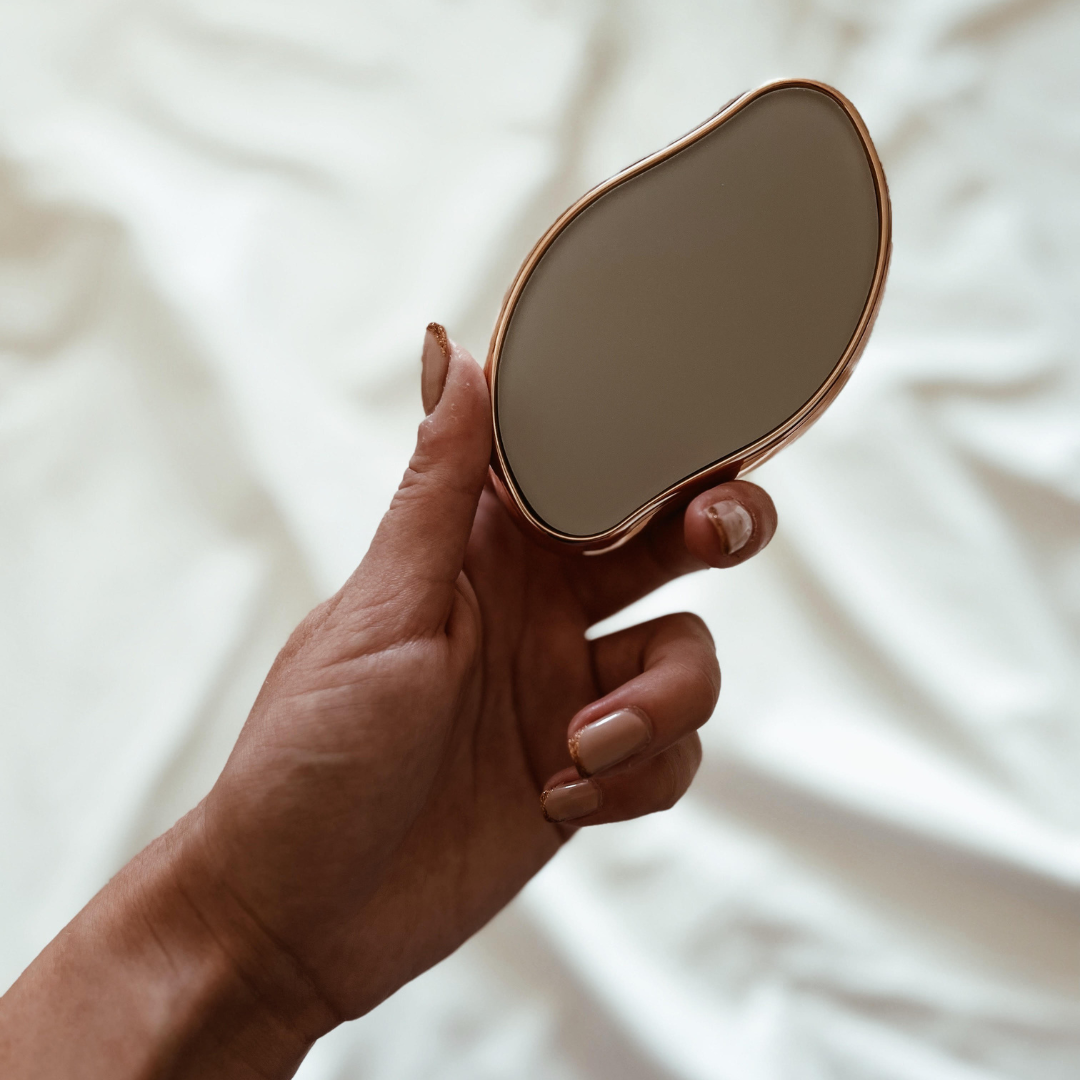 HERA™ Cleaning Device + HESTIA™ Hair Remover